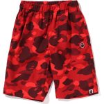 COLOR CAMO APE HEAD ONE POINT BEACH SHORTS