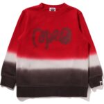GRADATION BAPE CREWNECK SWEATSHIRT