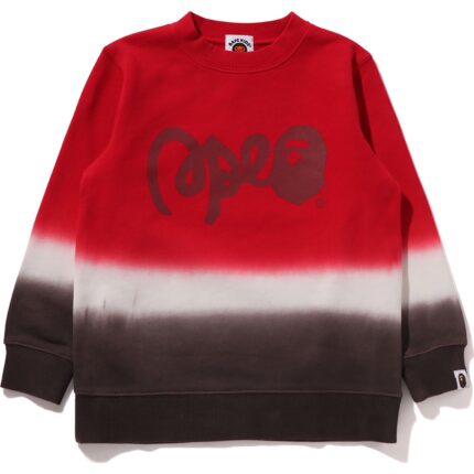 GRADATION BAPE CREWNECK SWEATSHIRT